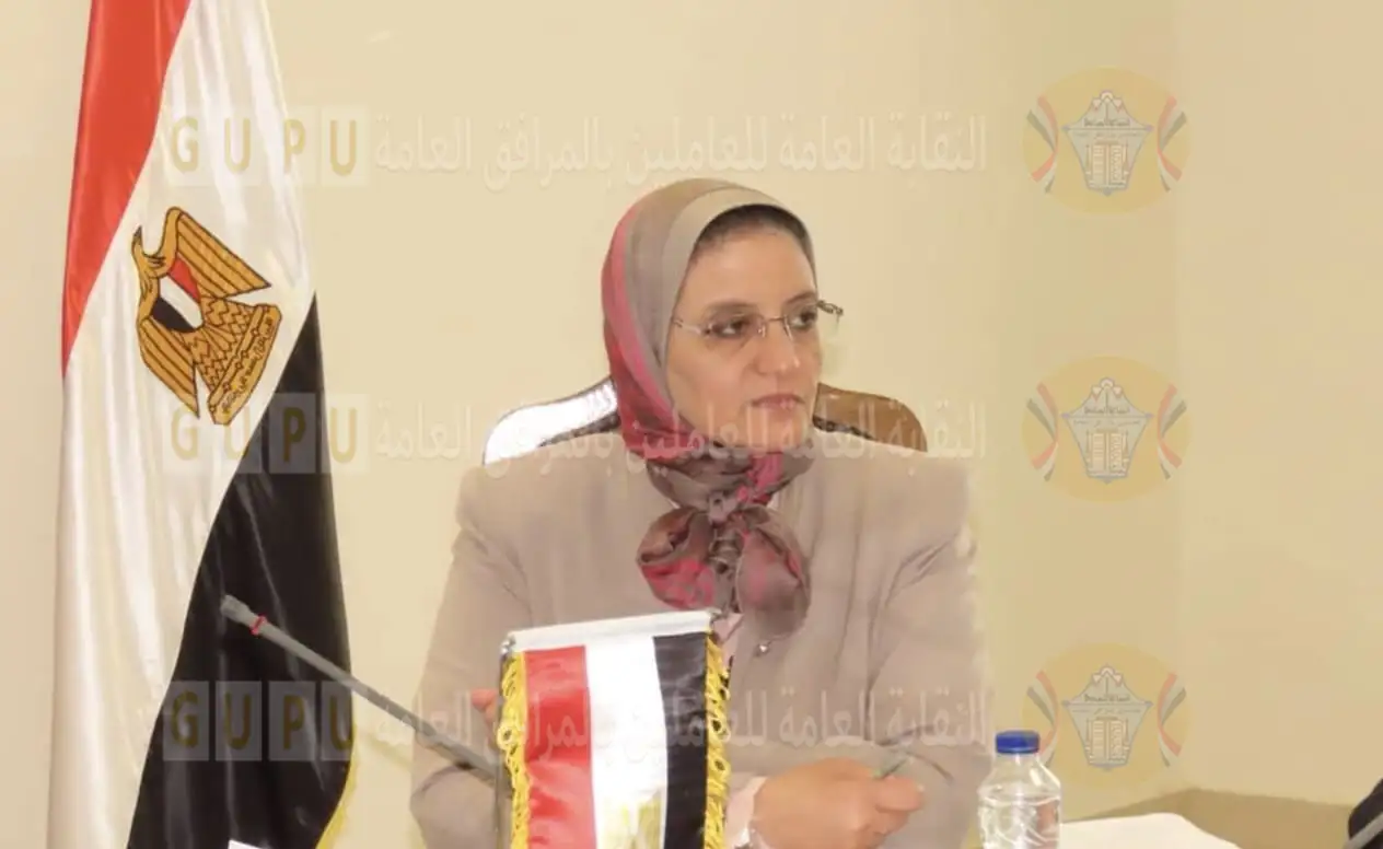 رئيس الشركة المصريه لنقل الكهرباء